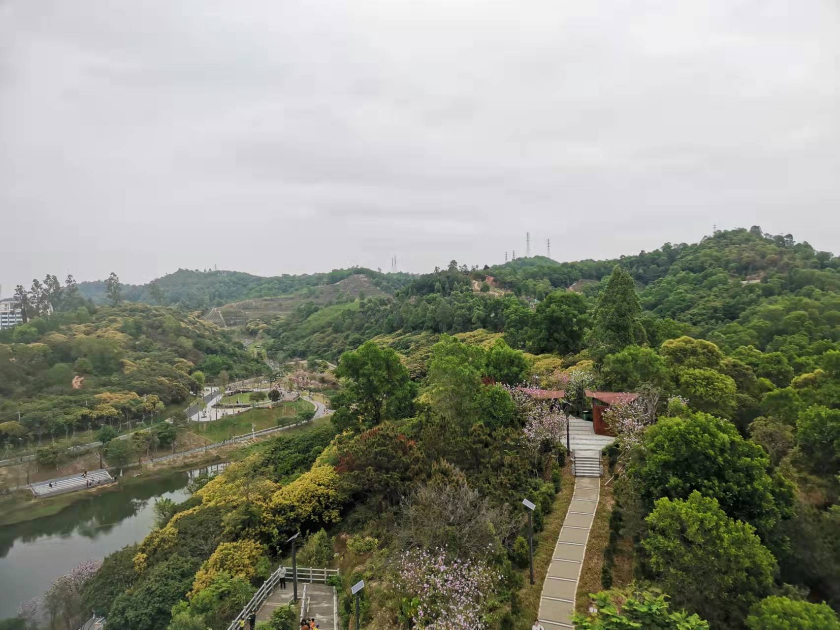 据预测越南将在未来几年超越泰国成为东南亚第二大电子商务市场