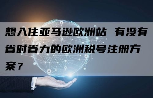 想入住亚马逊欧洲站 有没有省时省力的欧洲税号注册方案？