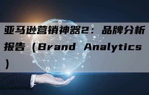 亚马逊营销神器2：品牌分析报告（Brand Analytics）