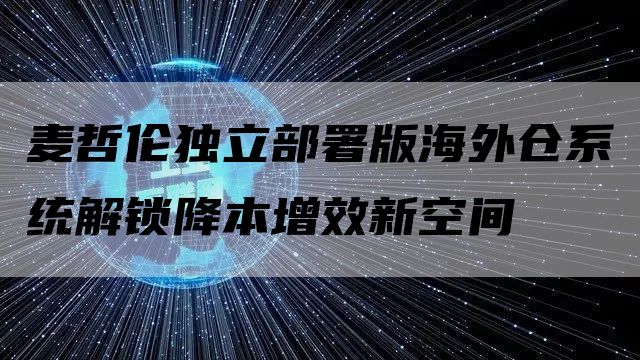 麦哲伦独立部署版海外仓系统解锁降本增效新空间