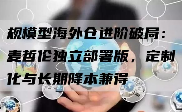 规模型海外仓进阶破局：麦哲伦独立部署版，定制化与长期降本兼得